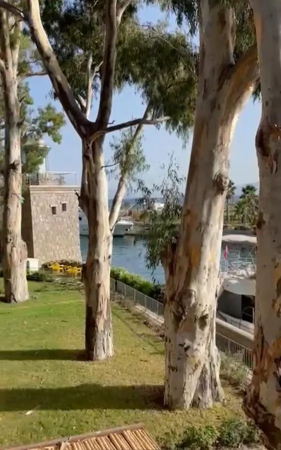 Bodrum Anthaven Aspat Ozel Plajli 2+1 Daire Lägenhet
